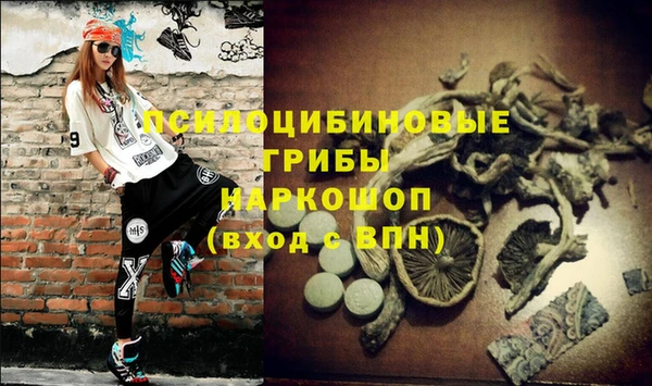 гашик Верхнеуральск