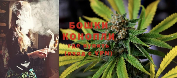 мяу мяу мука Бородино