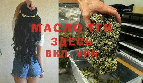 мяу мяу мука Бородино