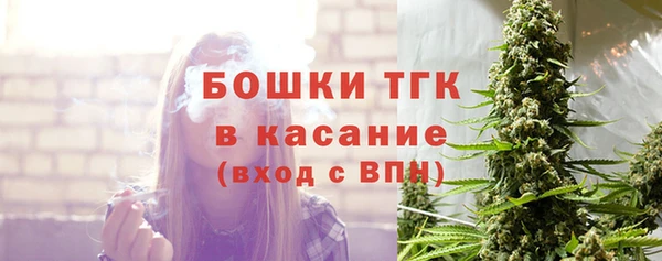 мяу мяу мука Бородино
